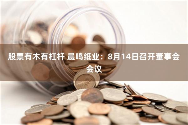 股票有木有杠杆 晨鸣纸业：8月14日召开董事会会议